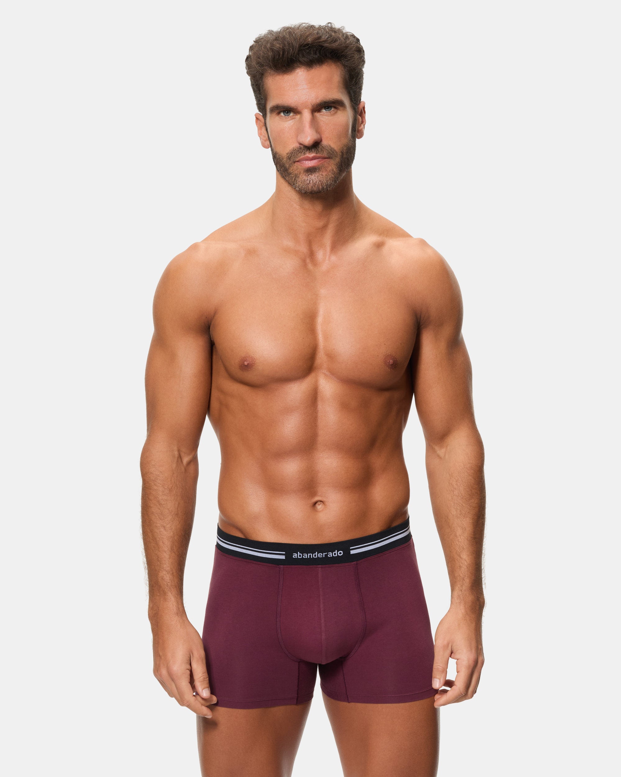 Abanderado Bóxer Cerrado Cintura Extra Suave Algodón Elástico ciruela hombre