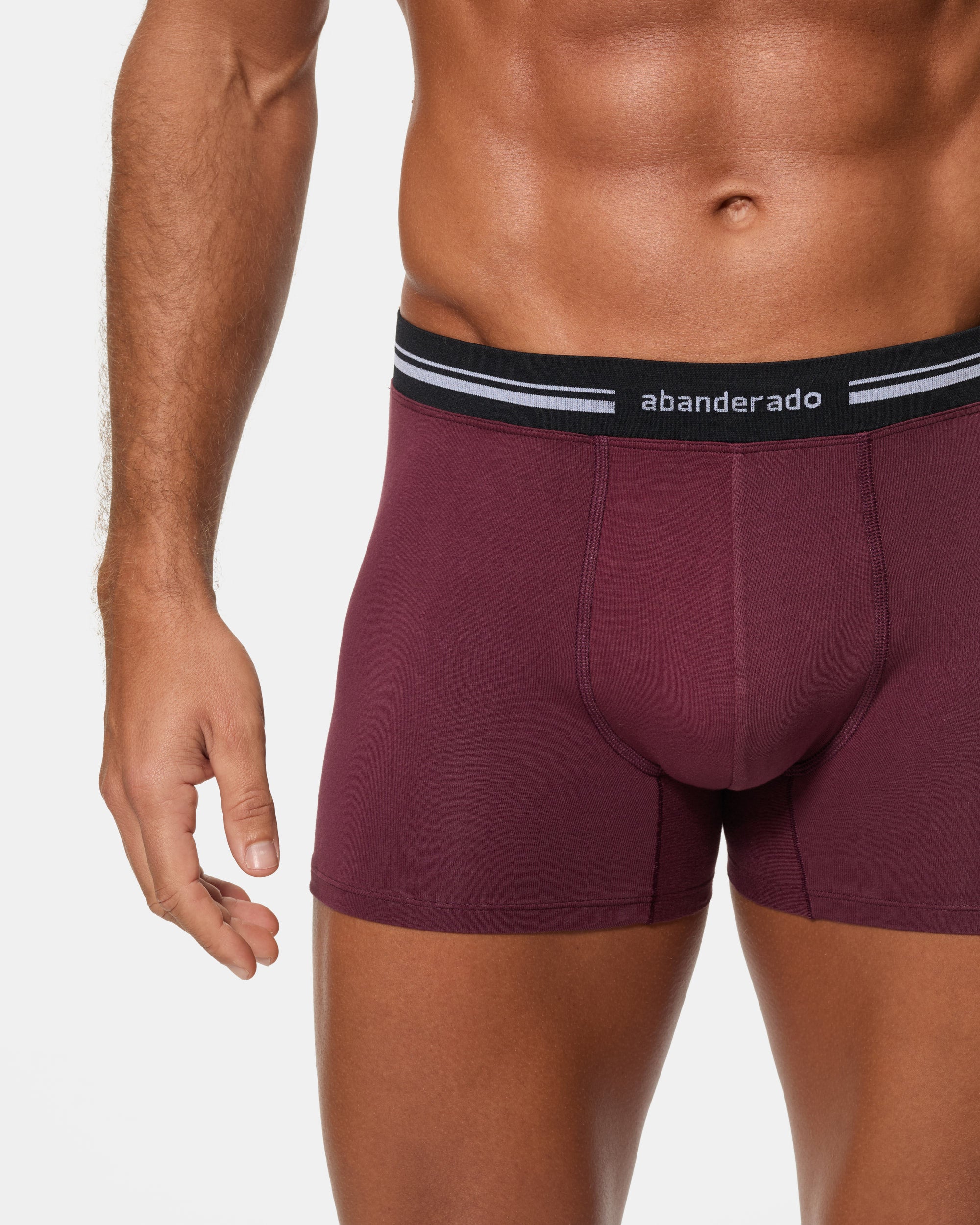 Abanderado Bóxer Cerrado Cintura Extra Suave Algodón Elástico ciruela hombre