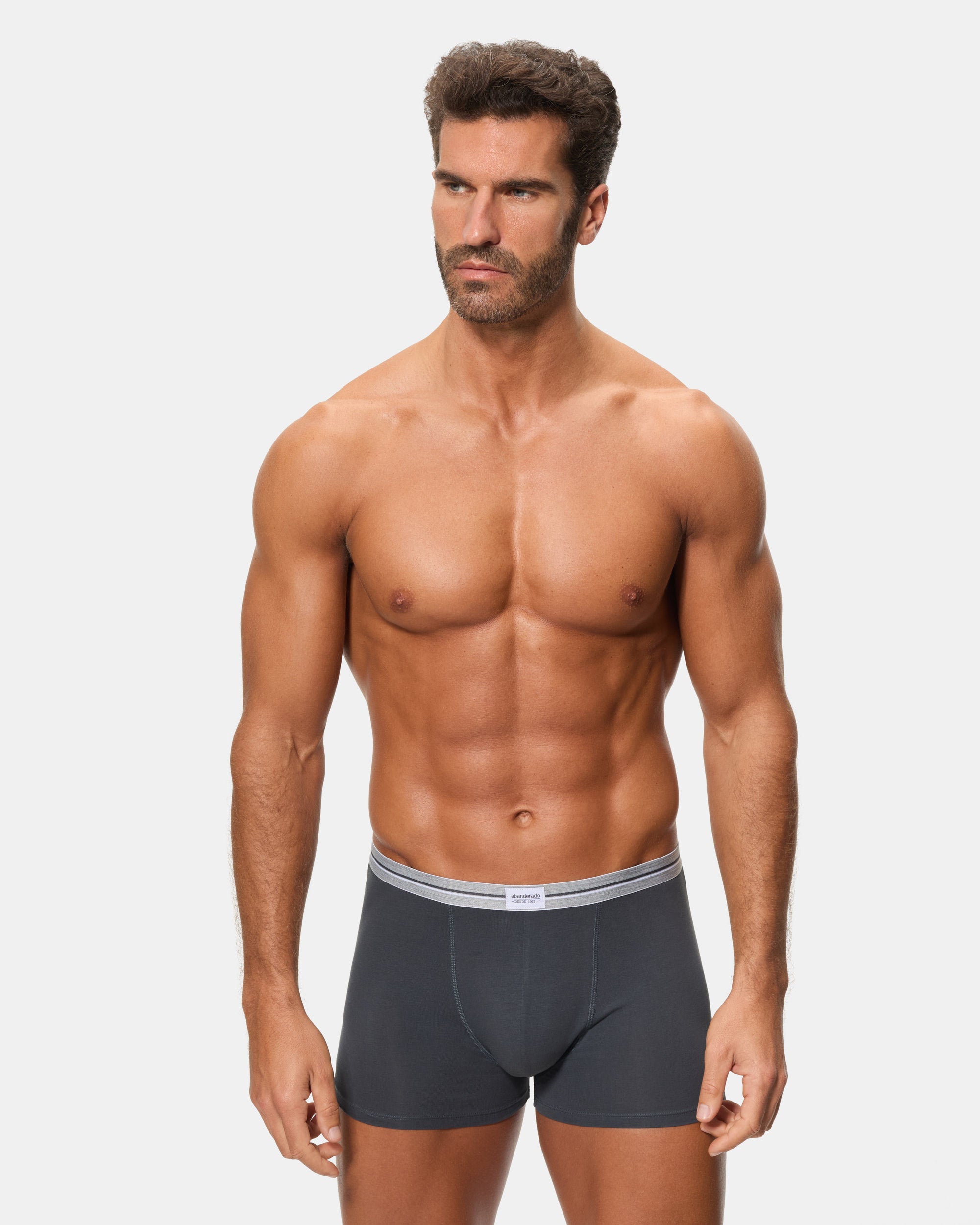 Abanderado Pack 2 Bóxers Cerrados Ultra Resist Algodón gris y azul hombre