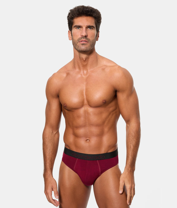 Abanderado Pack of 2 Closed Briefs Premium Sensitive Line dark blue and maroon for men