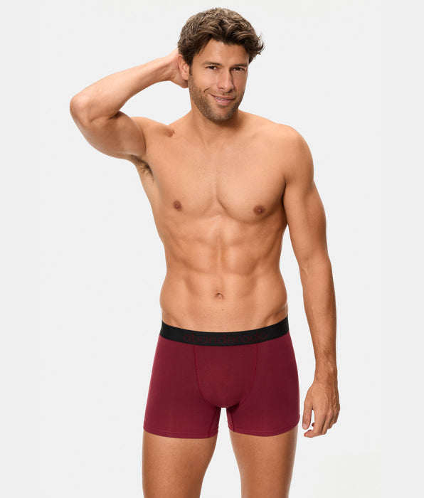 Abanderado Pack 2 Bóxer Cerrados Natural Comfort azul oscuro y granate hombre